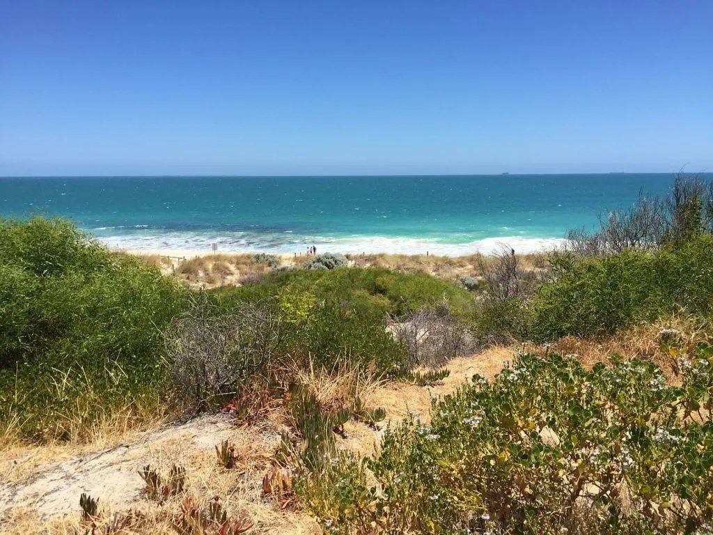 Cottesloe beach