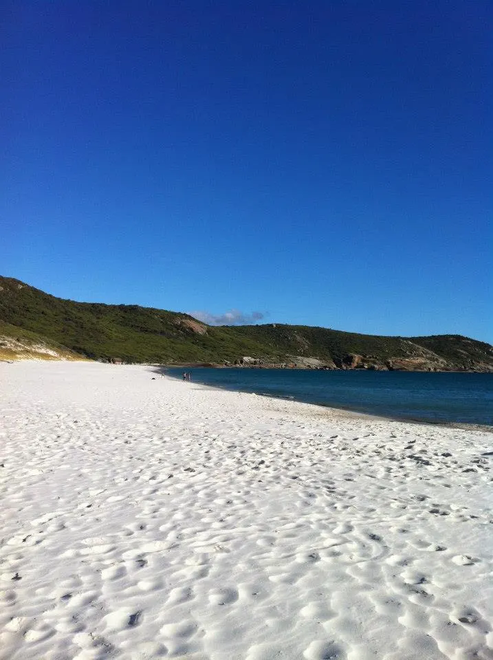 View of Squeaky beach in Wilson's Promontory