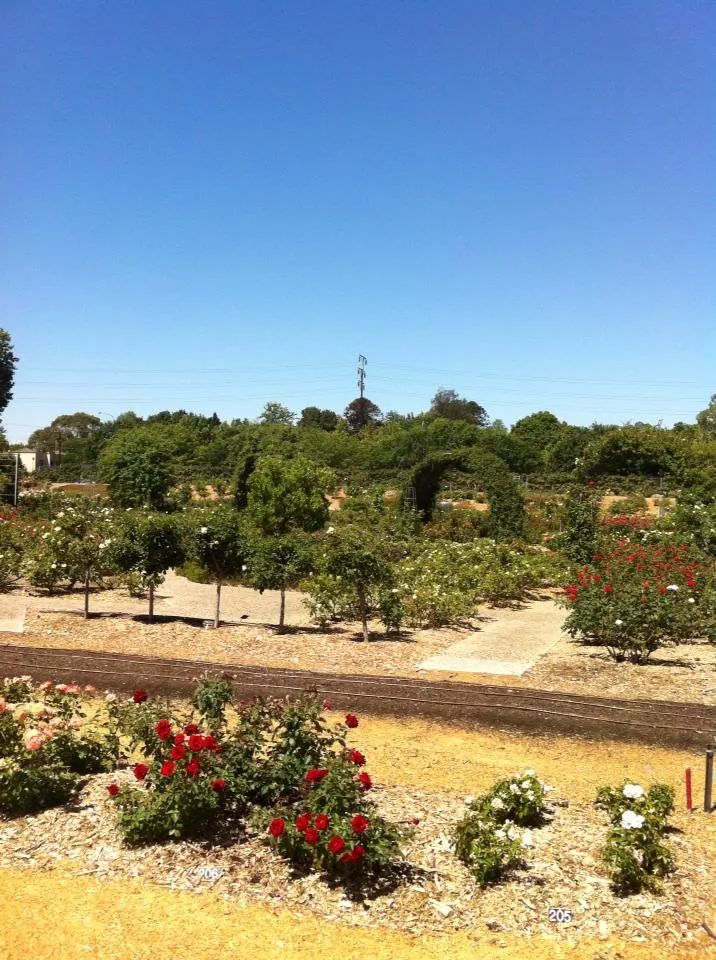 Adelaide Botanical Gardens