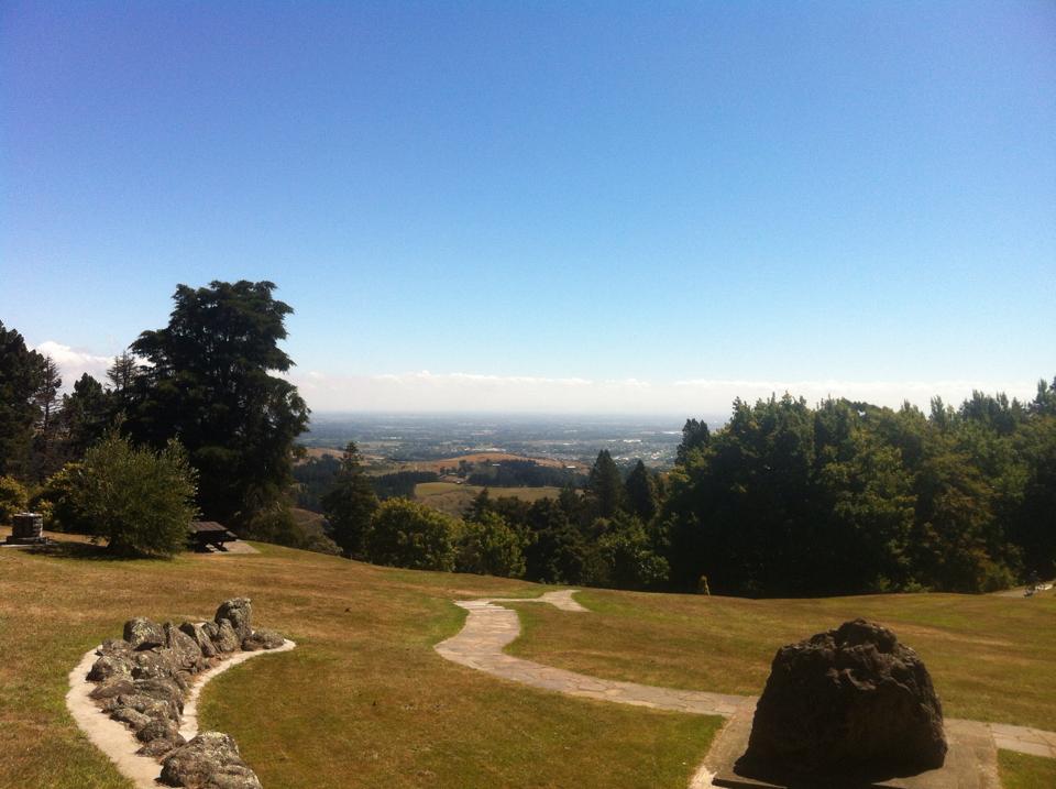 View above Christchurch