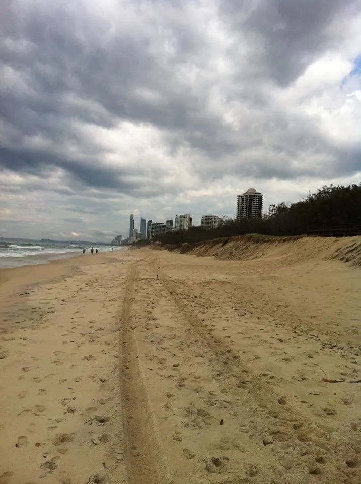 Beach on the Gold Coast