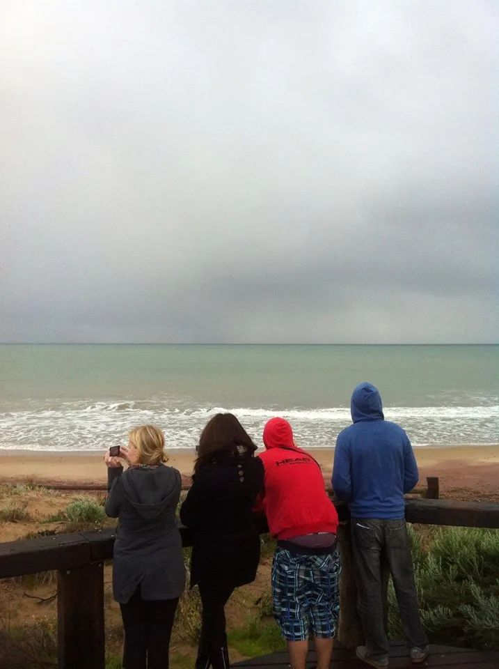 Whale watching in Port Elliot