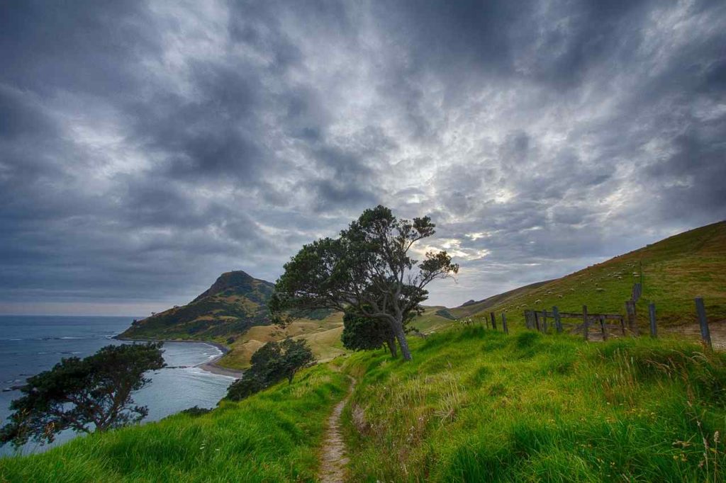 Coromandel