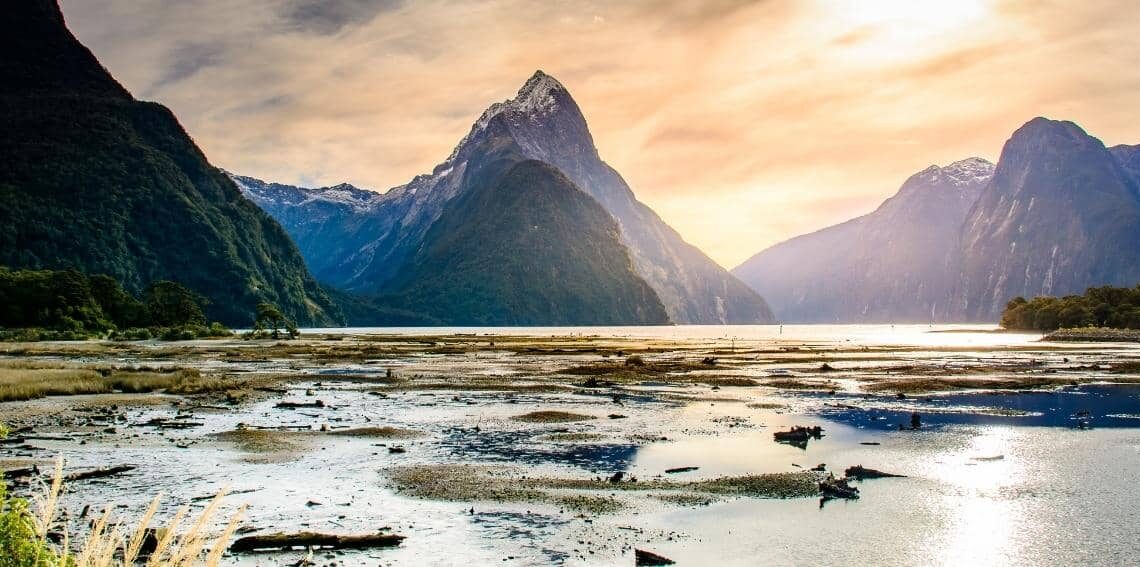 things to know before moving to new zealand