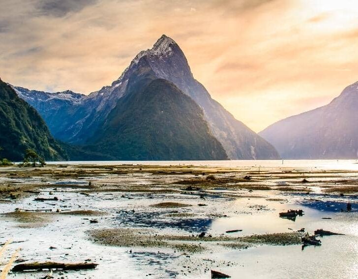 things to know before moving to new zealand