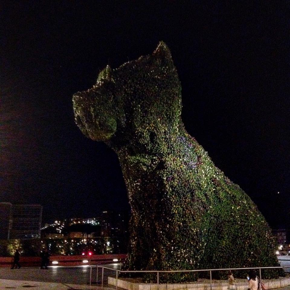 Big dog in Bilbao