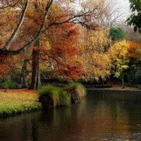 Christchurch Travel Guide