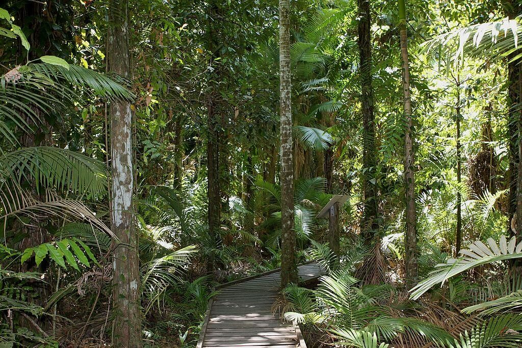 Cairns botanical gardens