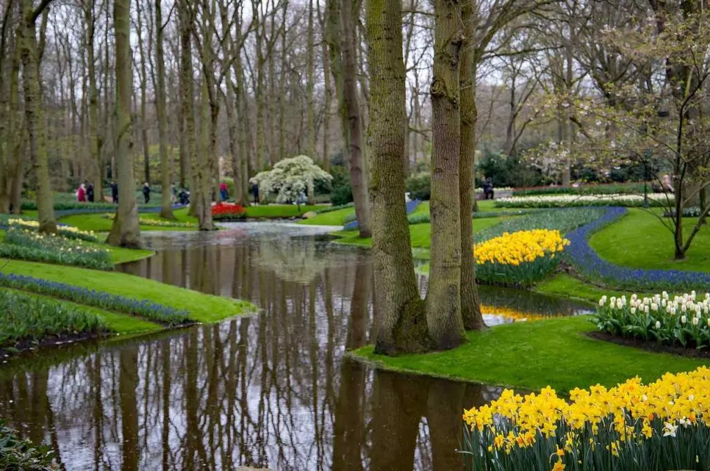 Keukenhof Gardens