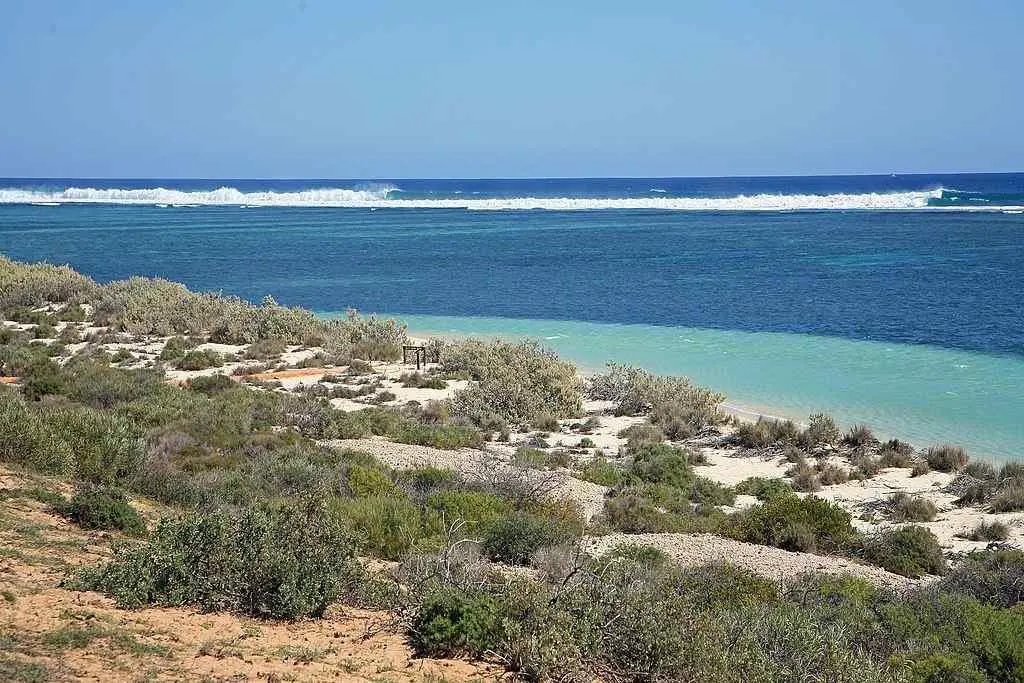 Ningaloo Reef