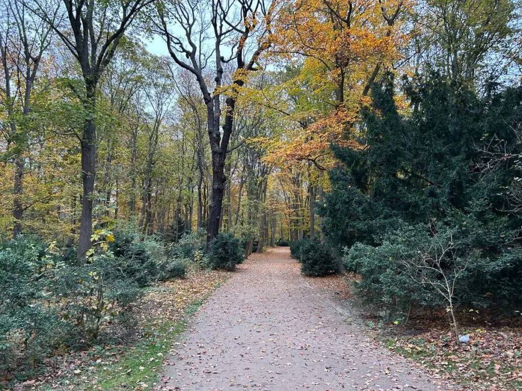 walking down a path in Tiergarten