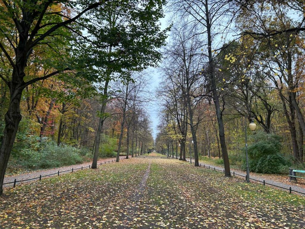 walking through tiergarten