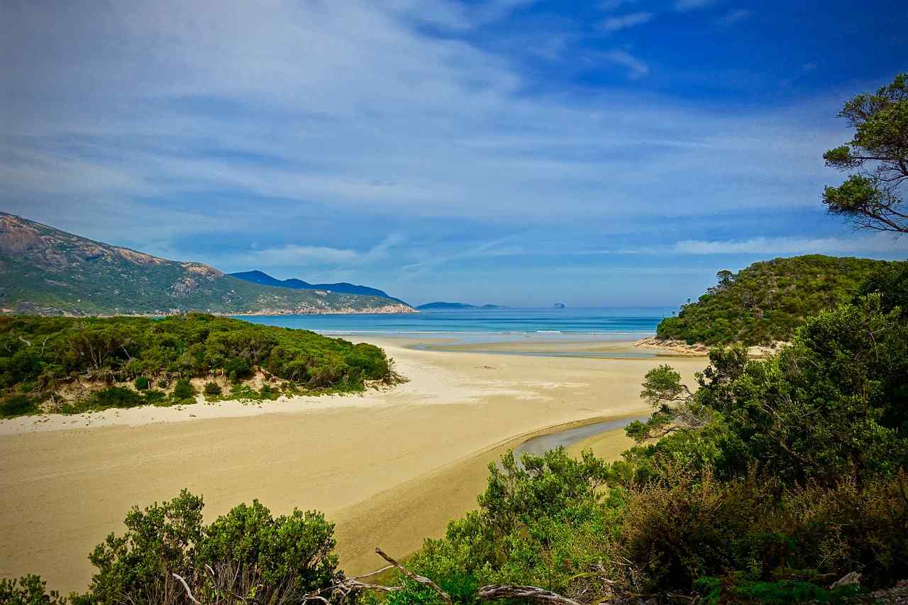 Best Day Trips From Melbourne