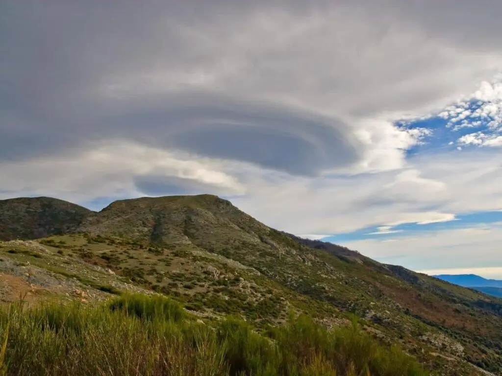 Nature in Montseny