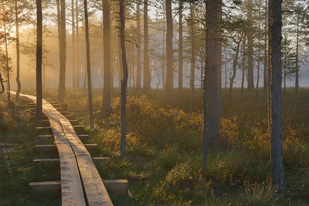 Lahemaa National Park