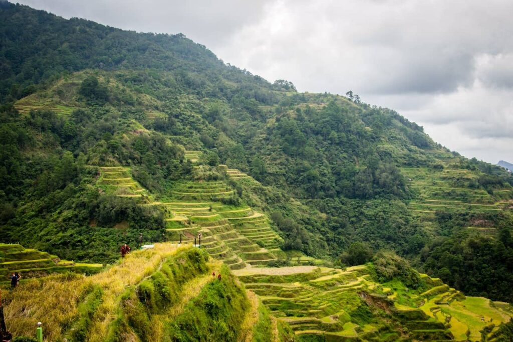 Banaue Rice Terraces