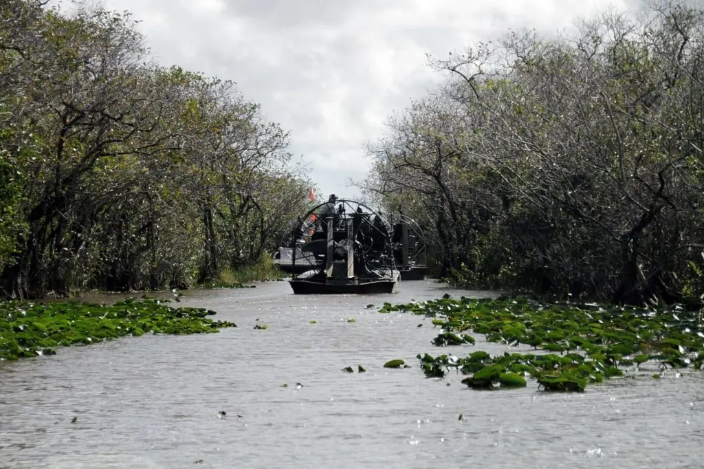 Everglades