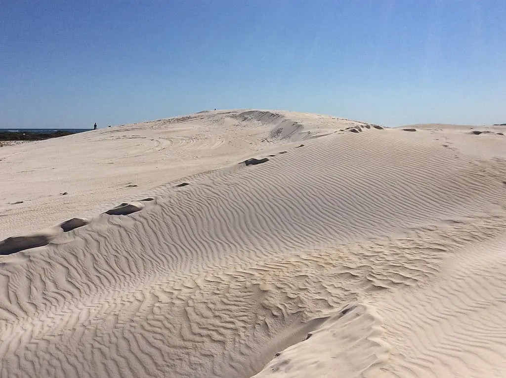 Sand Dunes in Lancelin