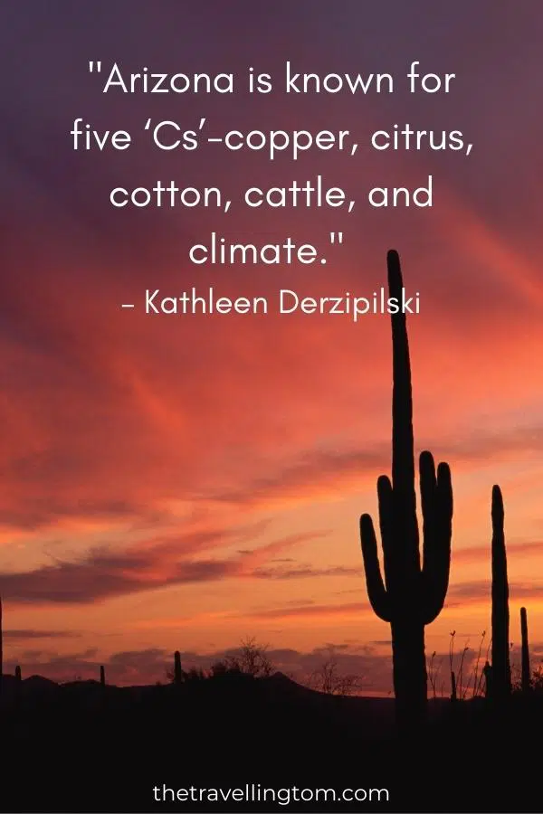 quote about arizona's culture and history