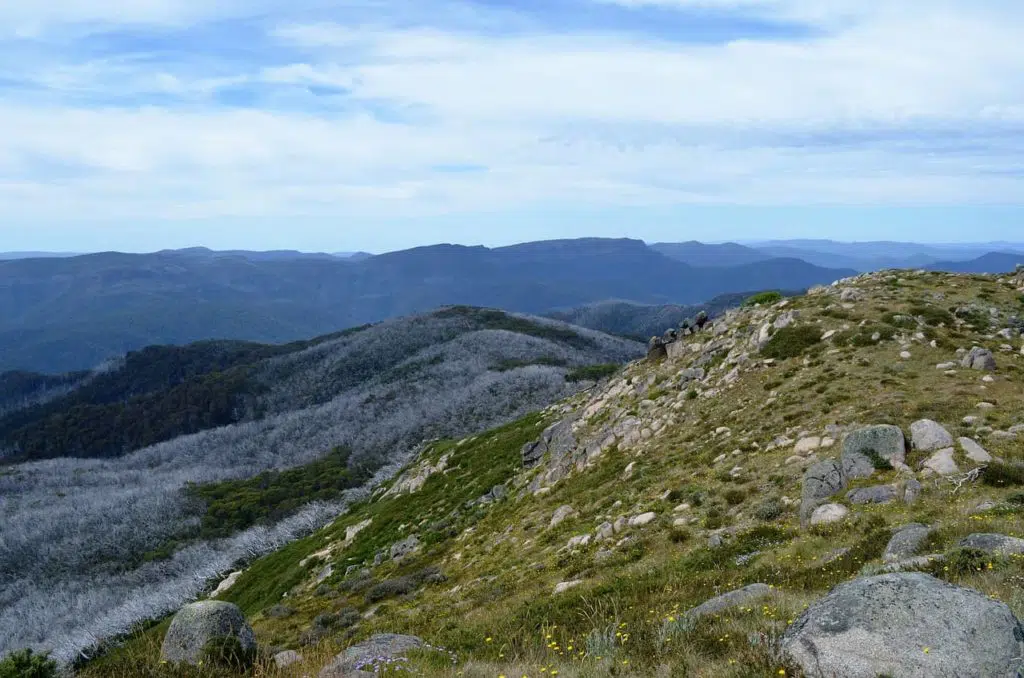 Mount Buller