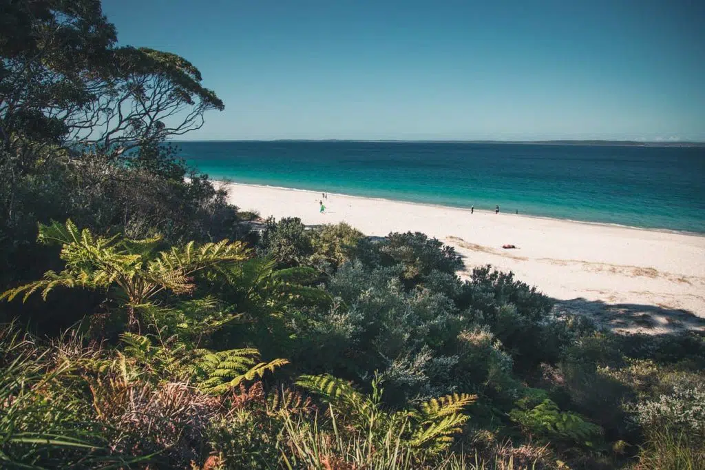 beach at jervis bay