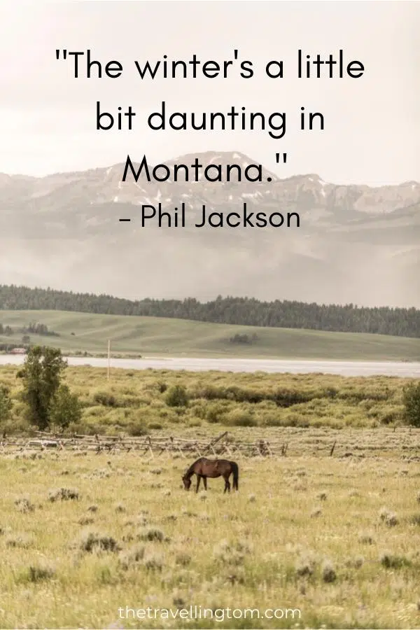 funny montana quote