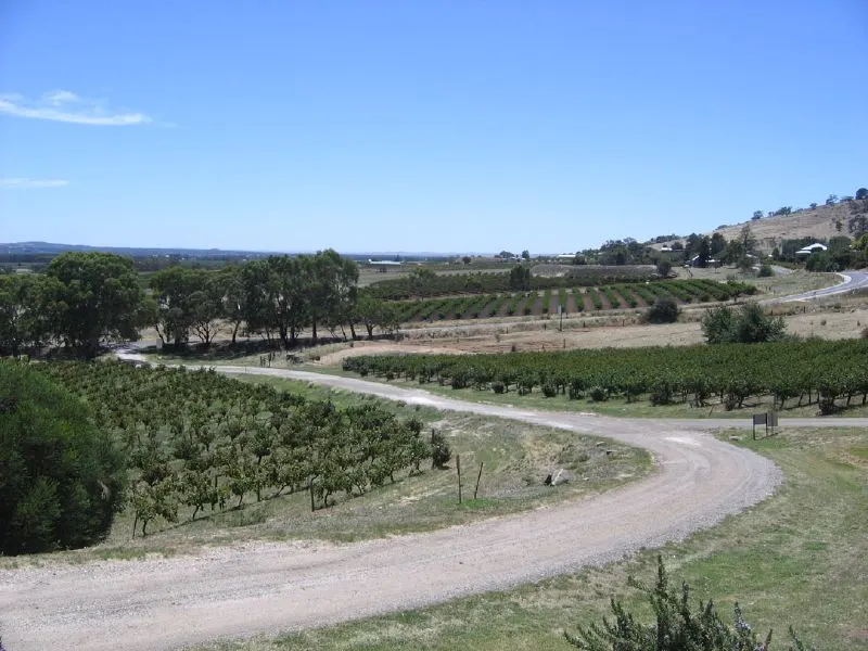 bethany vineyard in the barossa valley