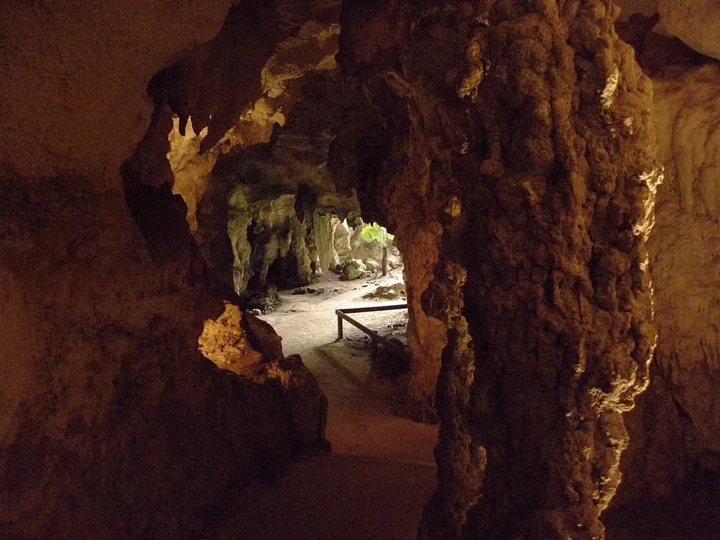 cave at naracoorte caves national park