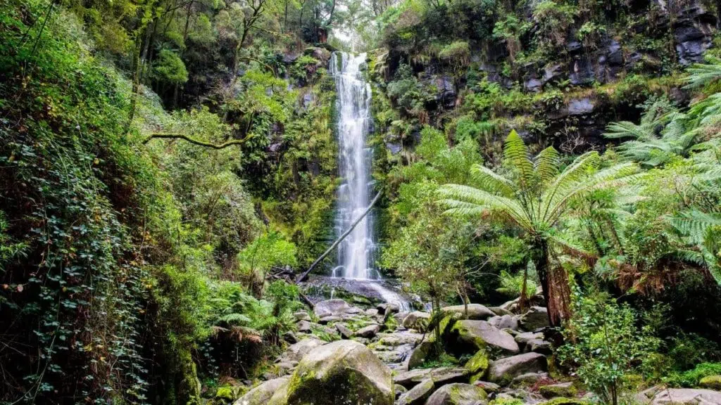 erskine falls, a waterfall cascading down in the background with greenery all around