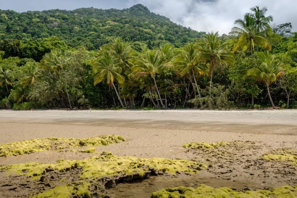 daintree national park