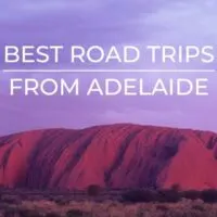 best road trips from adelaide