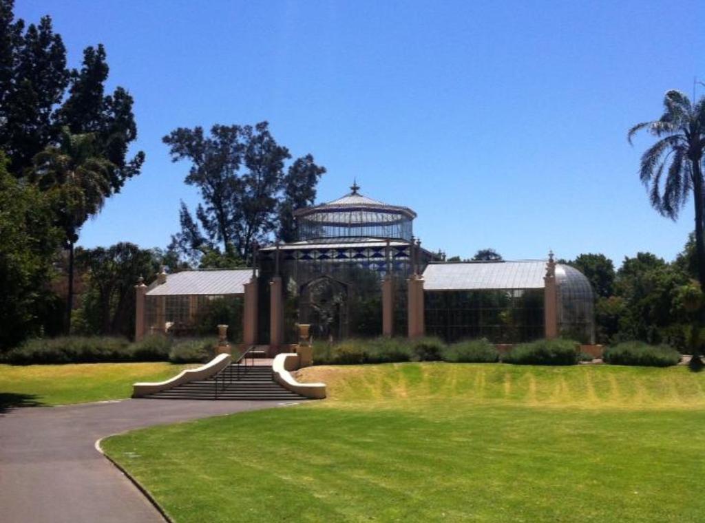 the palm house in the Adelaide Botanic Garden