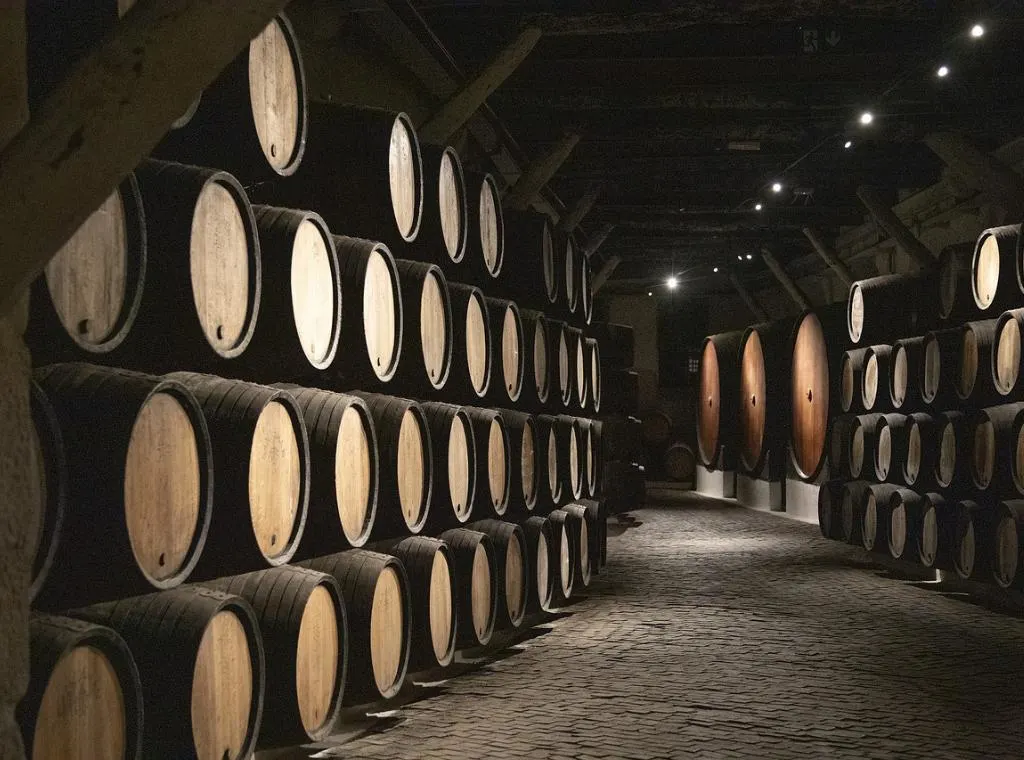 a cellar with lots of barrels of port inside